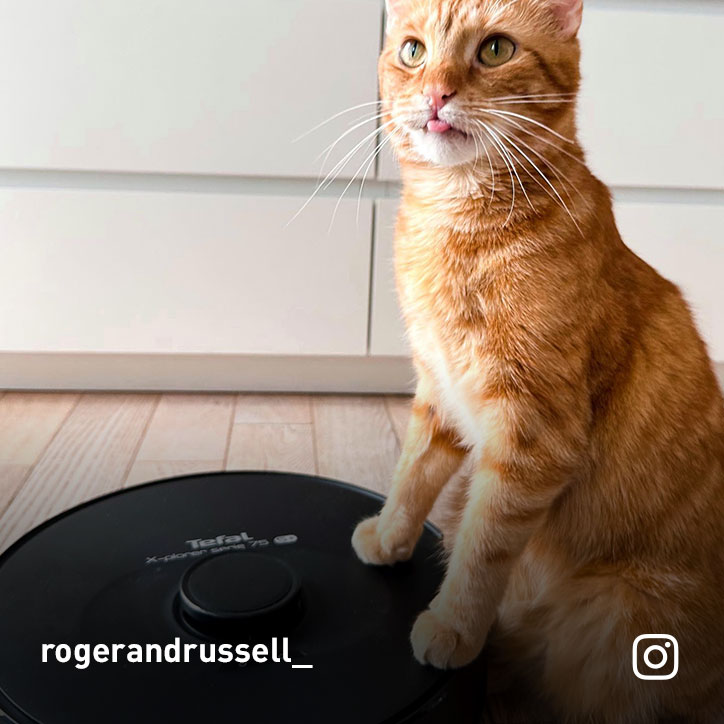 rogerandrussell_ Instagram post